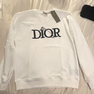 Dior x Judy Brand